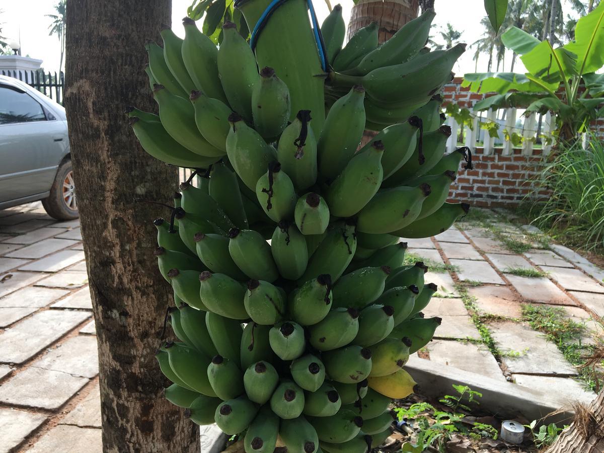 Green Life Cottage Siem Reap Bagian luar foto