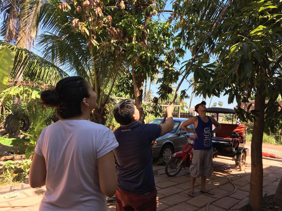 Green Life Cottage Siem Reap Bagian luar foto