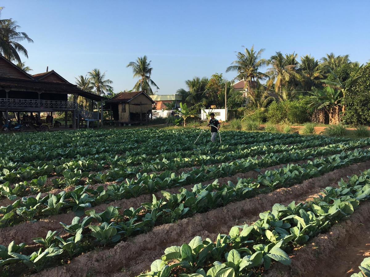 Green Life Cottage Siem Reap Bagian luar foto